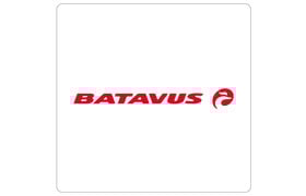 Batavus
