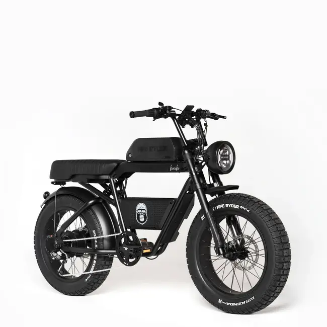 Ape Ryder Baboon Elektrische Fatbike