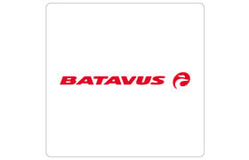 Batavus